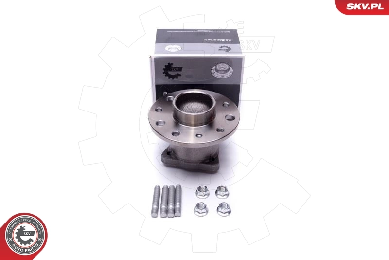Wheel Bearing Kit